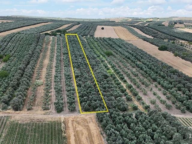 Karacabey, Bursa içerisinde satılık Arsa