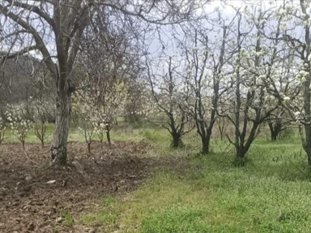 Yenişehir, Bursa içerisinde satılık Arsa