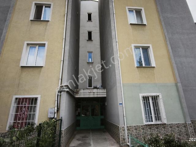 Yeni Mahallesi, Kestel içerisinde kiralık mülk