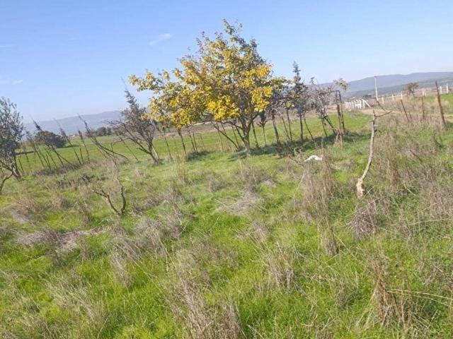 Karacabey, Bursa içerisinde satılık Arsa