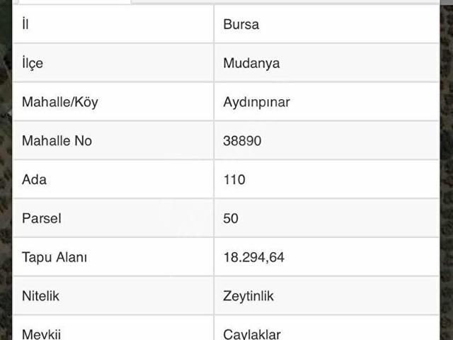 Mudanya, Bursa içerisinde satılık mülk