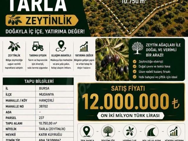 Mudanya, Bursa içerisinde satılık mülk