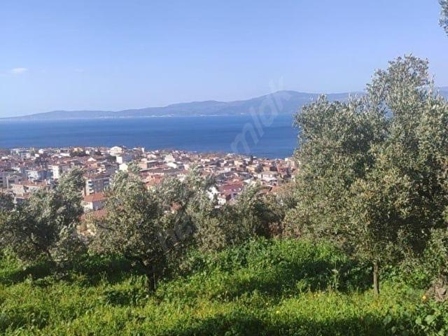 Mudanya, Bursa içerisinde satılık mülk
