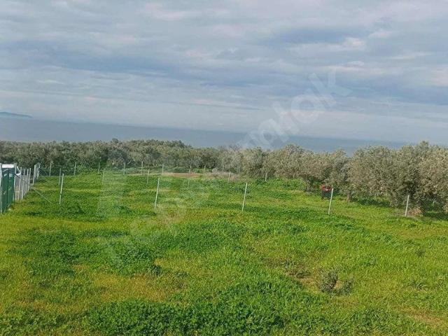 Mudanya, Bursa içerisinde satılık Arsa