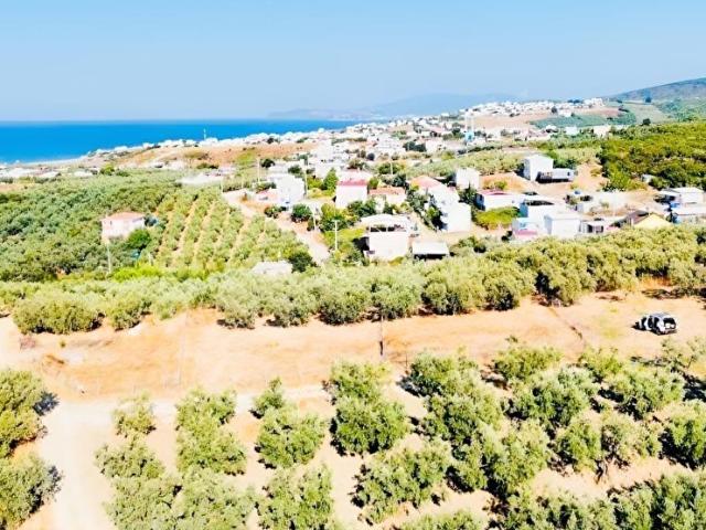 Mudanya, Bursa içerisinde satılık mülk