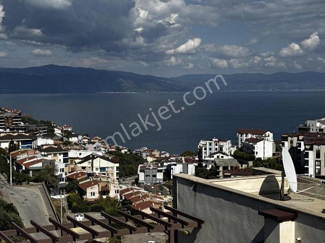 Halitpaşa, Mudanya içerisinde satılık mülk
