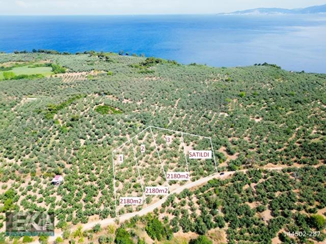 Tirilye, Mudanya içerisinde satılık mülk