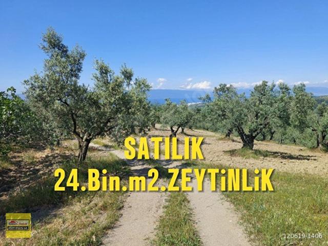 Mudanya, Bursa içerisinde satılık mülk