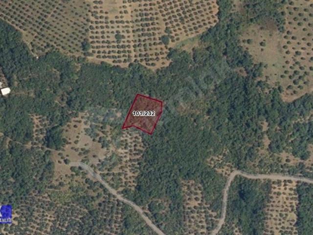 Mudanya, Bursa içerisinde satılık mülk