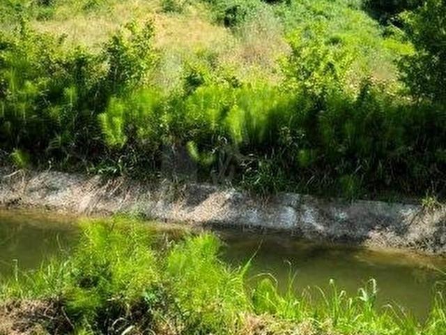 Mustafakemalpaşa, Bursa içerisinde satılık Arsa