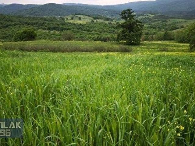 Mustafakemalpaşa, Bursa içerisinde satılık Arsa