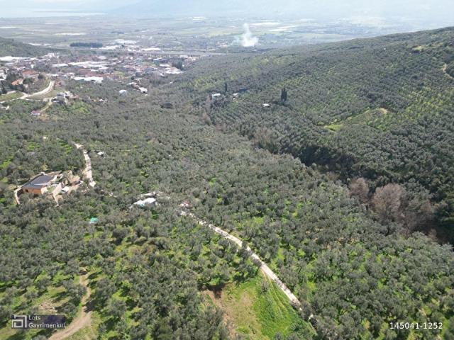 Orhangazi, Bursa içerisinde satılık mülk