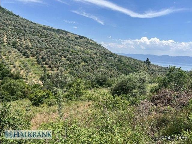 Orhangazi, Bursa içerisinde satılık Arsa