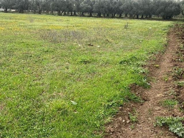 Orhangazi, Bursa içerisinde satılık mülk