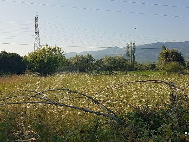 Orhangazi, Bursa içerisinde satılık Arsa