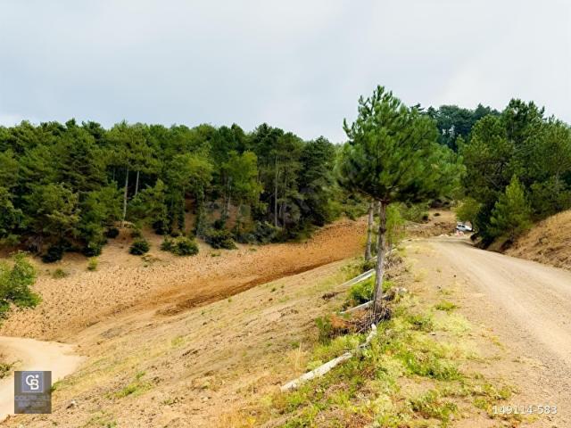 Osmangazi, Bursa içerisinde satılık Arsa