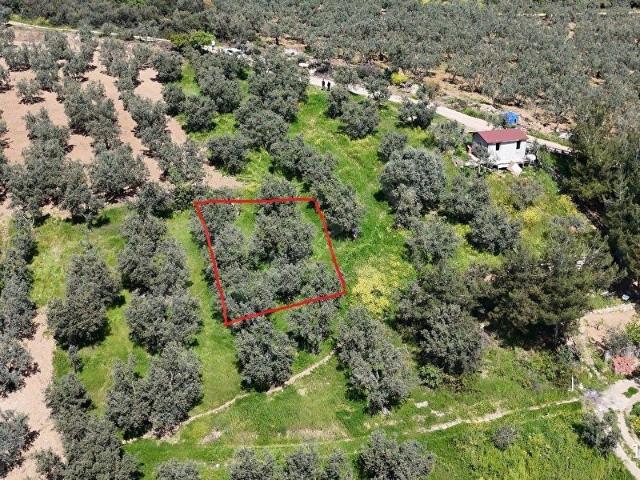 Osmangazi, Bursa içerisinde satılık mülk