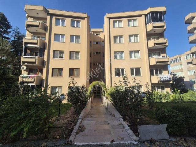 Kükürtlü, Osmangazi içerisinde kiralık mülk