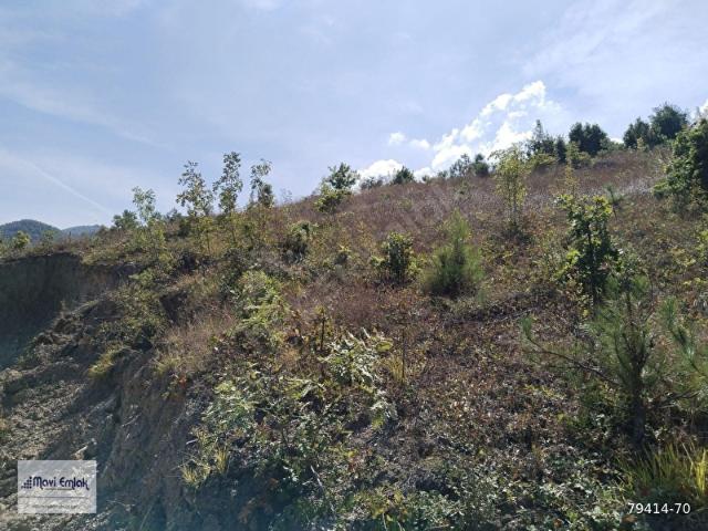 Osmangazi, Bursa içerisinde satılık Arsa