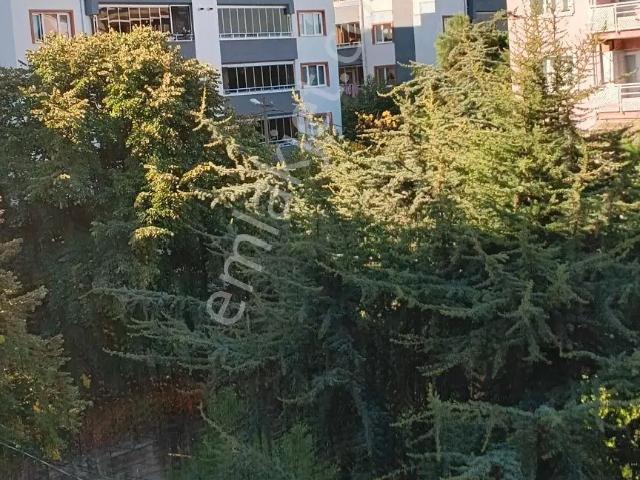 Kaplıkaya Mahallesi, Yıldırım içerisinde kiralık mülk