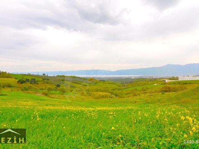 Yalova Merkez, Yalova içerisinde satılık Arsa