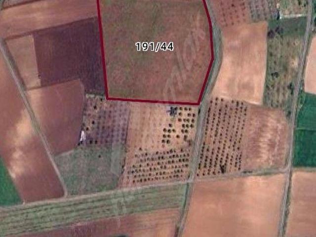 Yenişehir, Bursa içerisinde satılık Arsa