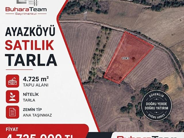 Yenişehir, Bursa içerisinde satılık Arsa