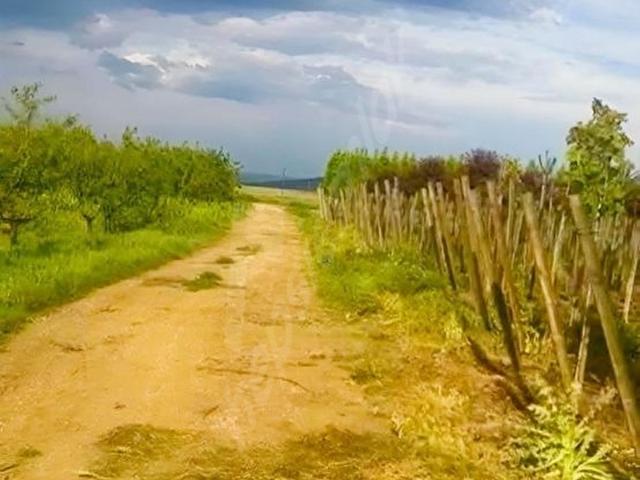 Yenişehir, Bursa içerisinde satılık Arsa