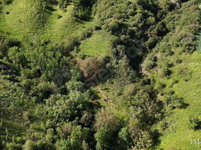Yenişehir, Bursa içerisinde satılık Arsa