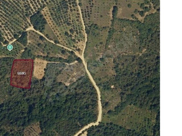İznik, Bursa içerisinde satılık mülk