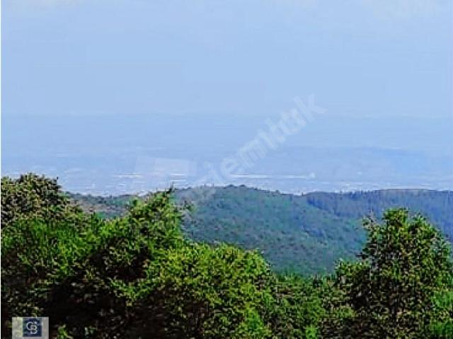 Yenişehir, Bursa içerisinde satılık mülk