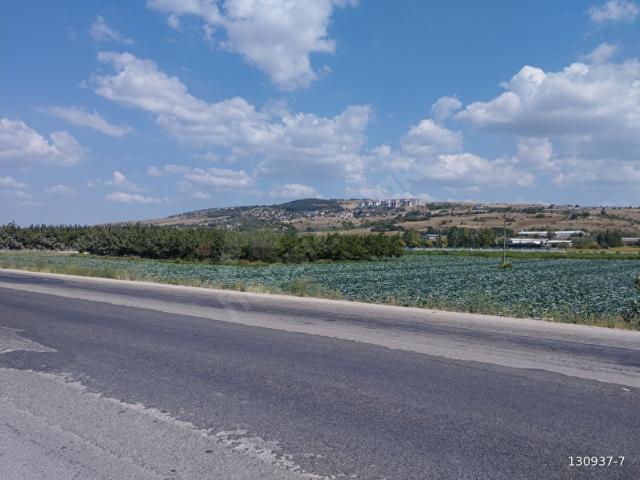Yenişehir, Bursa içerisinde satılık Arsa