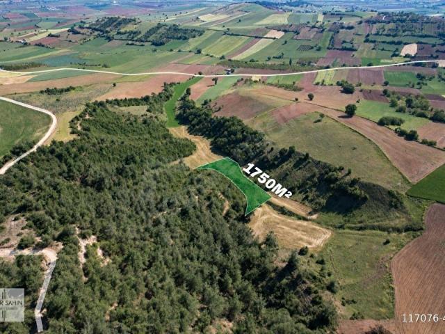 Yenişehir, Bursa içerisinde satılık Arsa