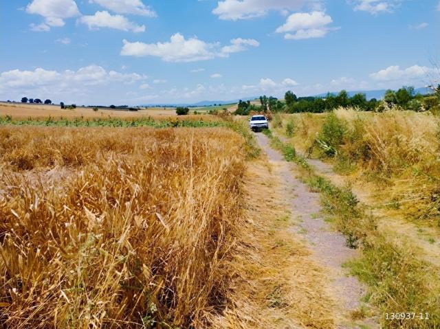 Yenişehir, Bursa içerisinde satılık Arsa