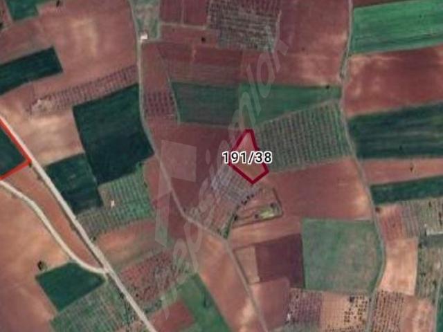 Yenişehir, Bursa içerisinde satılık Arsa