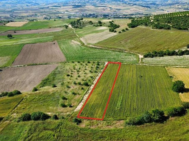 Yenişehir, Bursa içerisinde satılık Arsa