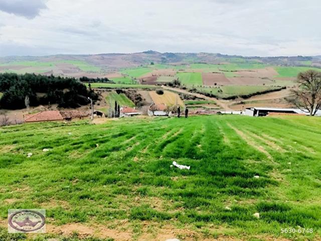 Yenişehir, Bursa içerisinde satılık Arsa