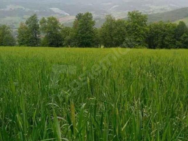Bursa içerisinde satılık Arsa