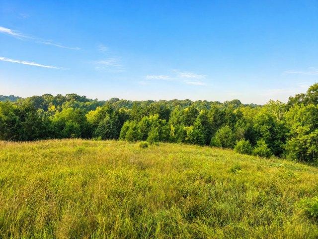 Land for sale in Vevay, Indiana