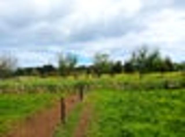 House for sale in Fairburn, Northland
