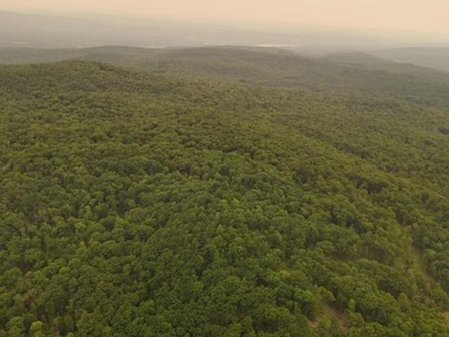 Land for sale in New Hampshire