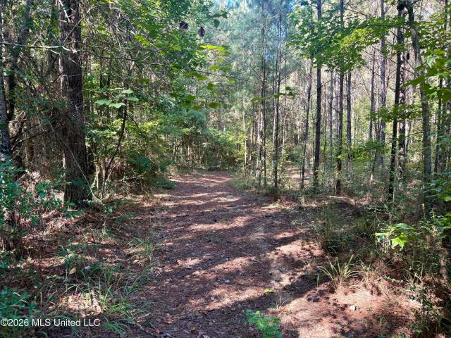 Land for sale in Mississippi