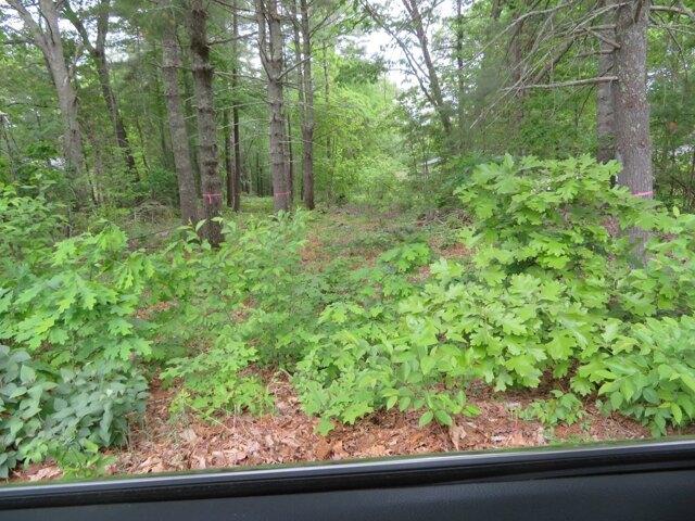 Land for sale in Winnecunnet, Norton