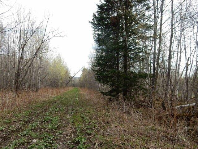 Land for sale in Irasburg, Vermont