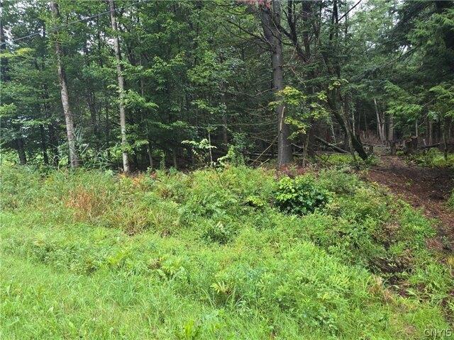 Land for sale in Oneida, New York
