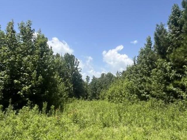 Land for sale in Tate, Mississippi