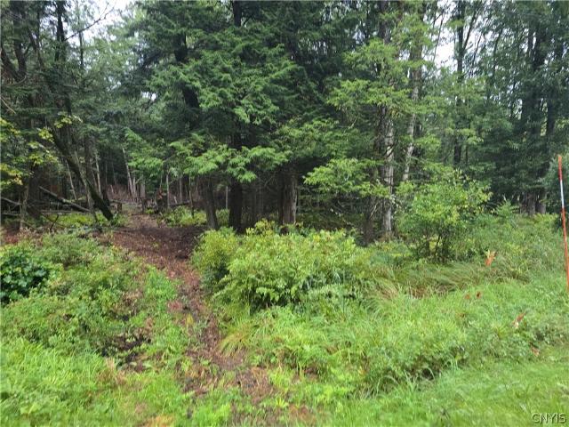 Land for sale in Oneida, New York