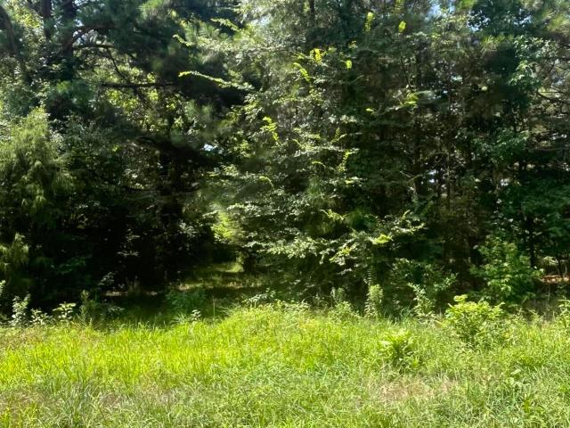 Land for sale in Senatobia, Tate County