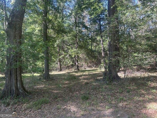 Land for sale in Screven, Georgia