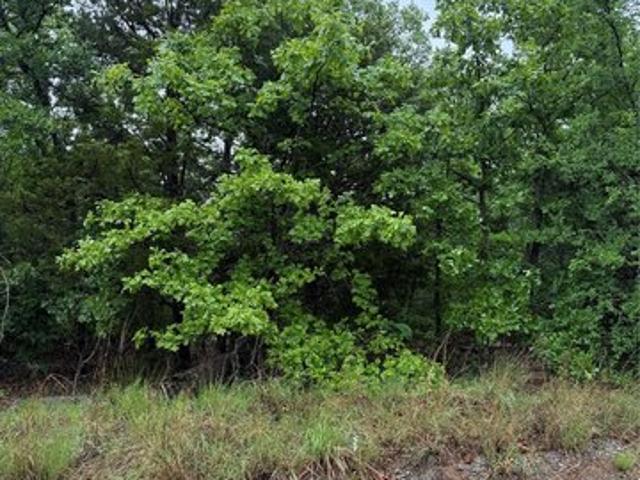 Land for sale in Eufaula, Oklahoma